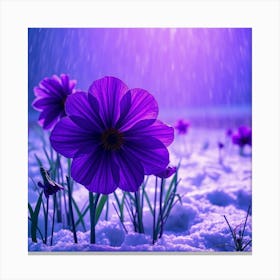 Purple Flowers In The Snow Canvas Print