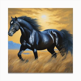 Black Horse Canvas Print