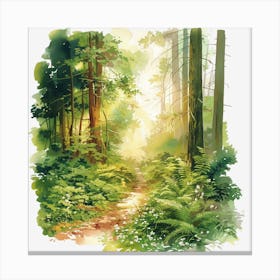 Path In The Forest 4 Canvas Print