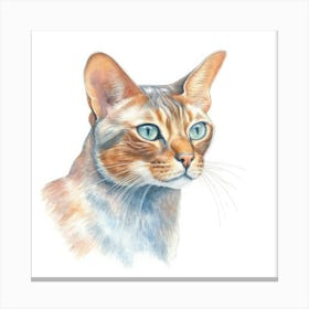 Malayan Cat Portrait 2 Canvas Print