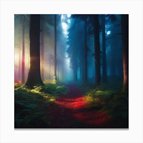 Mysterious forest Canvas Print