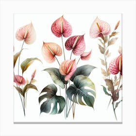 Anthurium 3 Canvas Print