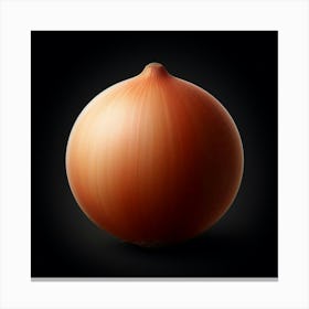 Onion On Black Background Canvas Print