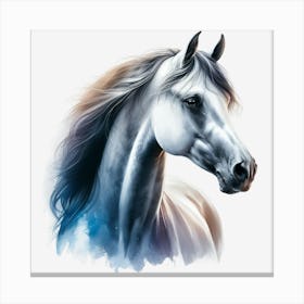 White Horse Canvas Print