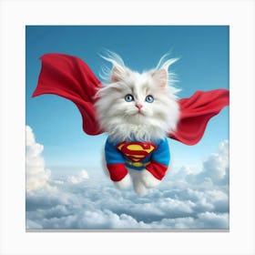 Superman Cat 2 Canvas Print