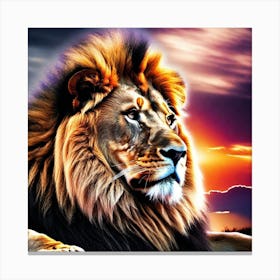 Lion In The Sunset Canvas Print