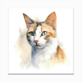 Oriental Bicolour Cat Portrait Canvas Print
