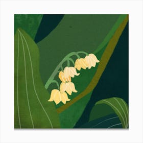 Lily Of The Valley Square Canvas Print