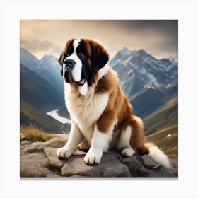 St Bernard Dog 28 Canvas Print