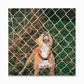 Knocked Loose Album Cover 6 Canvas Print