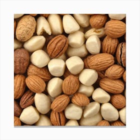 Nuts And Seeds 2 Canvas Print