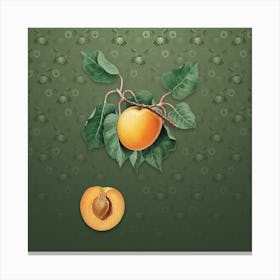 Vintage German Apricot Botanical on Lunar Green Pattern n.0787 Canvas Print