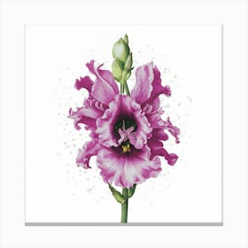 Gladiolus Canvas Print