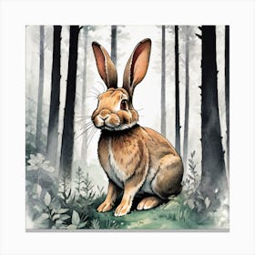 Rabbit In The Woods 8 Canvas Print