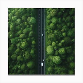 Aerial View Of A Forest 1 Canvas Print