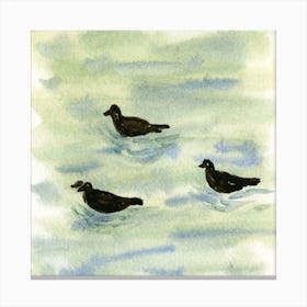 Ducks in Lake Watercolor Painting Canvas Print
