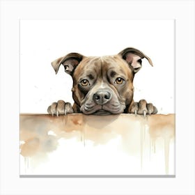 Staffordshire Bull Terrier Dog 1 Canvas Print