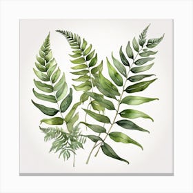 Green fern 4 Canvas Print