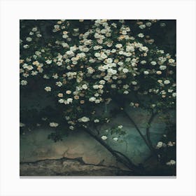 Roses On A Wall Canvas Print