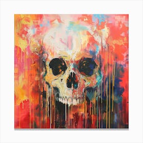 'Skull' 14 Canvas Print