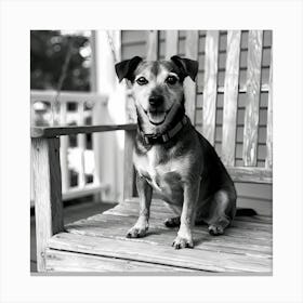 Black And White Dog Sitting On Porch 1 Leinwandbild