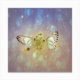 Butterfly - Butterfly Stock Videos & Royalty-Free Footage Canvas Print