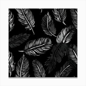 Feathers On A Black Background Canvas Print