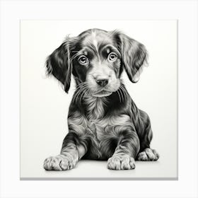 Black And White Puppy Canvas Print