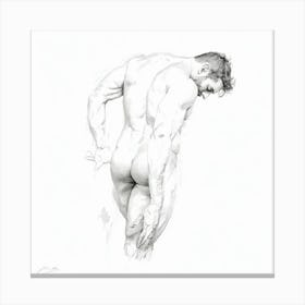 Nude Male Drawing Canvas Print