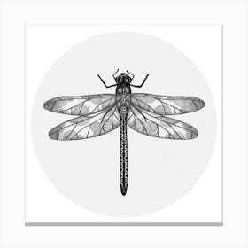 Dragonfly Square Canvas Print