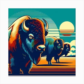 Bison 1 Canvas Print