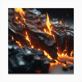 Fire Stock Videos & Royalty-Free Footage Canvas Print