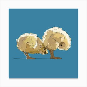 Little Chicks Canvas Print