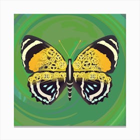 Mechanical Butterfly The Callicore Aegina On A Grass Green Background Canvas Print