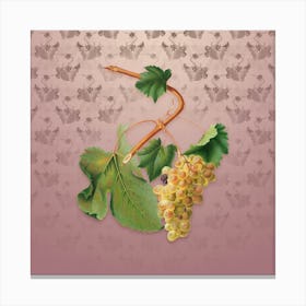 Vintage Vermentino Grapes Botanical on Dusty Pink Pattern n.1959 Canvas Print