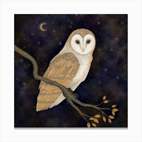 Barn Owl Canvas Print