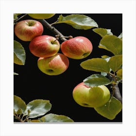 Apple Tree Canvas Print