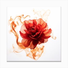 Red Peony Flower In Smoke Canvas Print