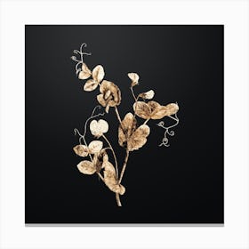 Gold Botanical White Pea Flower on Wrought Iron Black Canvas Print