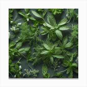 Herbs As A Background Haze Ultra Detailed Film Photography Light Leaks Larry Bud Melman Trendi (5) Canvas Print