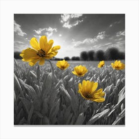 Yellow Flowers In A Field 23 Canvas Print