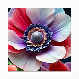 Anemone Flower Canvas Print