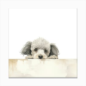 Poodle Dog 1 Canvas Print