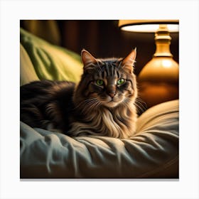 Cat In The Dark Canvas Print