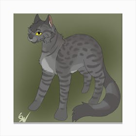 Grey Cat With Yellow Eyes Canvas Print