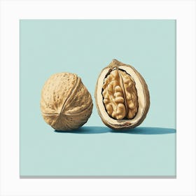 Walnuts 1 Canvas Print