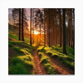 Sunset In The Forest 24 Canvas Print