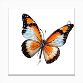 Butterfly On A White Background Canvas Print