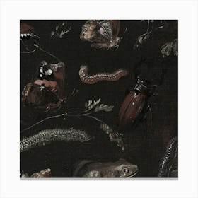 Insects And Reptiles Canvas Print