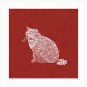 The Badass Bandit Cat In A Bandana Canvas Print